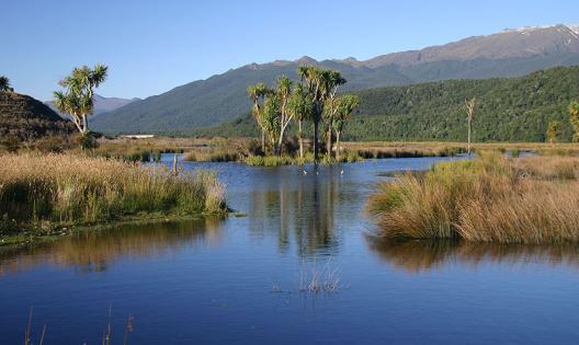 The Rakatu Wetlands reserve.