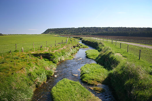 Waimotu Stream just after fencing